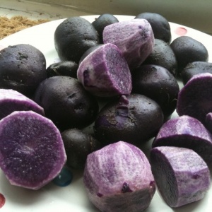 Potato Purple Majesty